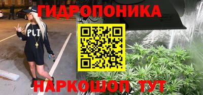 сатива Обь