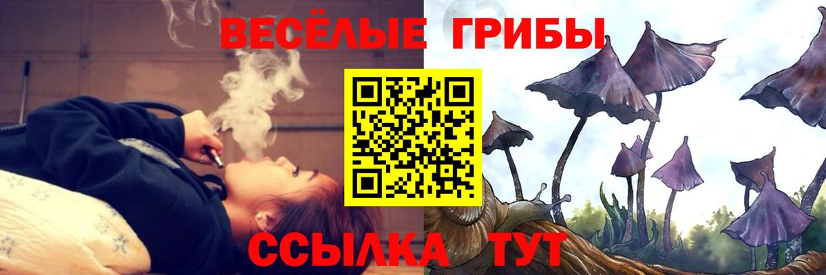 Галлюциногенные грибы мицелий  Галлюциногенные грибы Cubensis  Вход с VPN  Георгиевск 